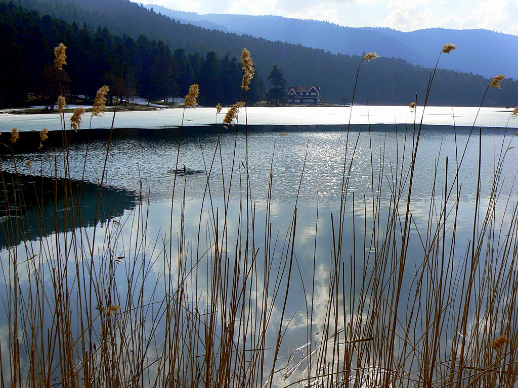 Gölcük (Bolu)